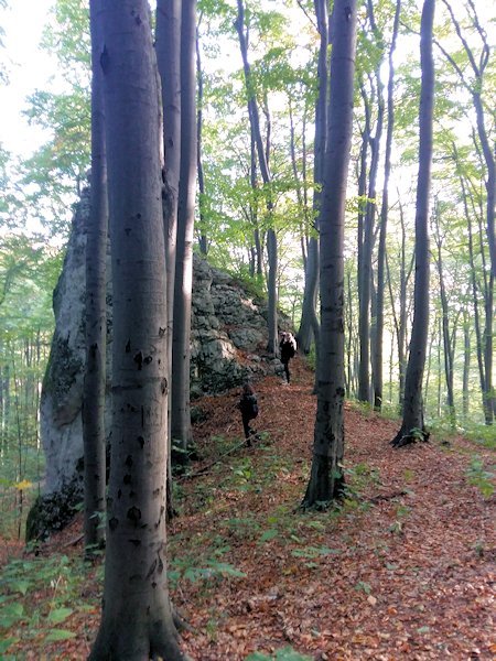 Wycieczka śladami Marii Płonowskiej